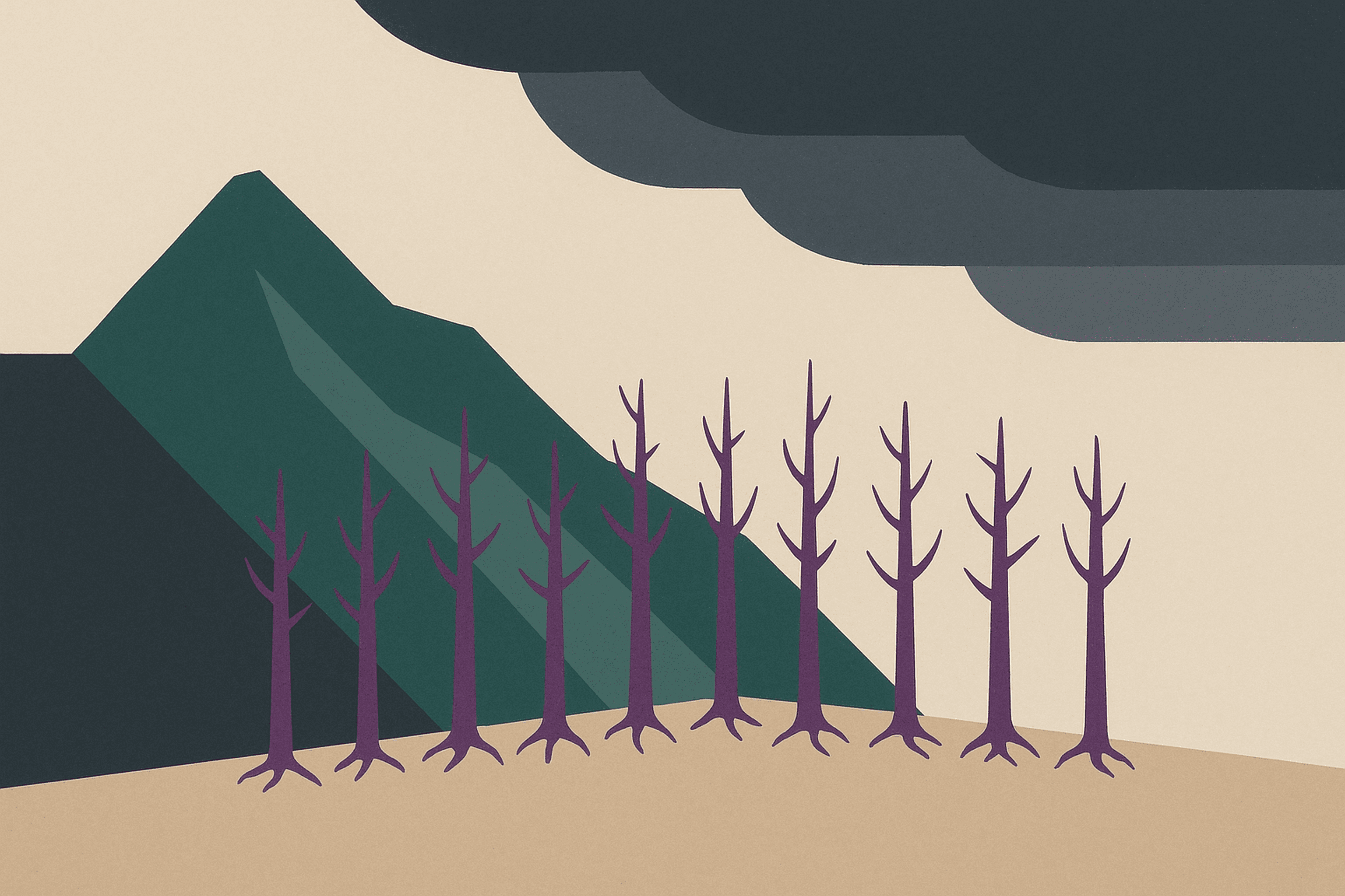 I've Rebuilt 12 Failed Software Projects: The Pattern Is Always The Same
